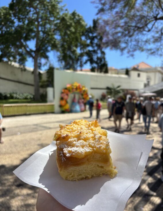madeira custard tart
